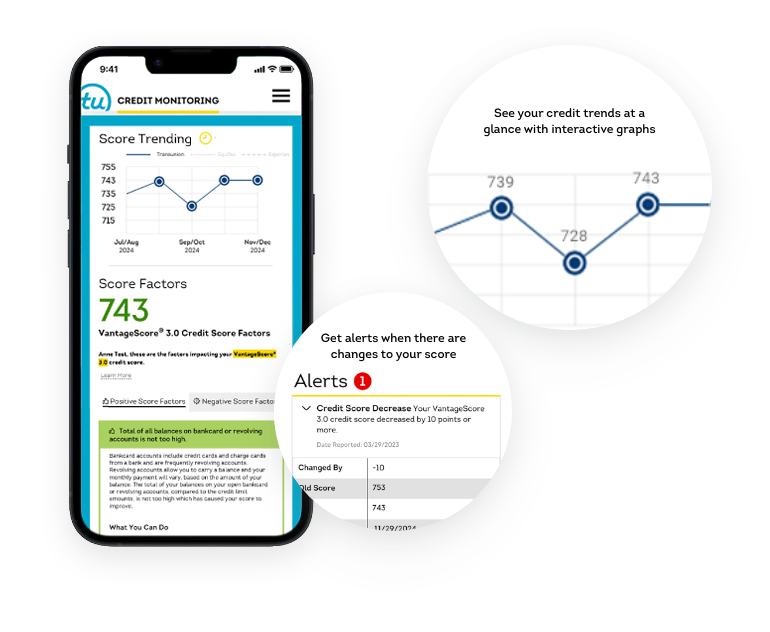Check Your Credit Score. Understand Where You Stand.